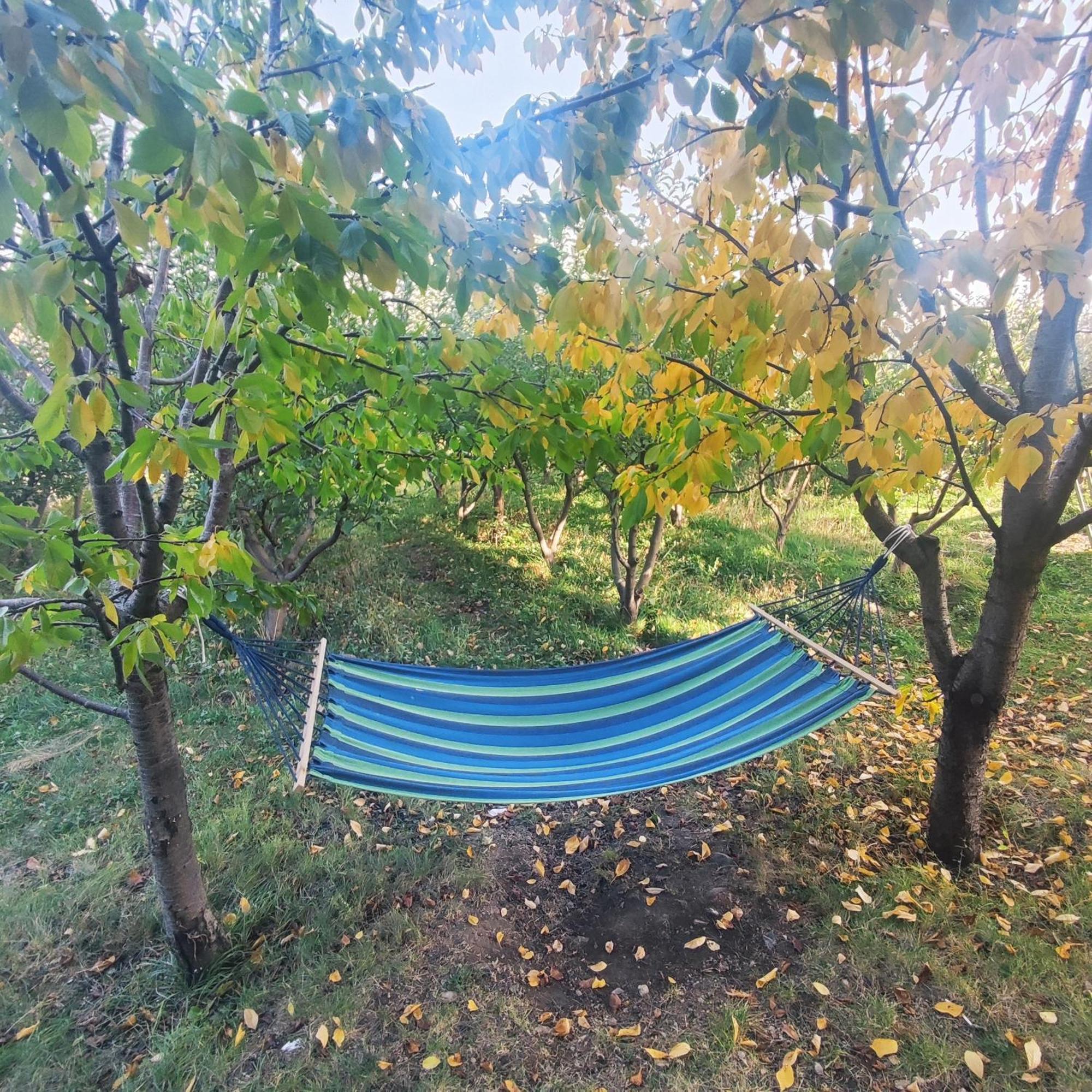 Lanj In Eco Garden/ Guest House Nurnus 외부 사진