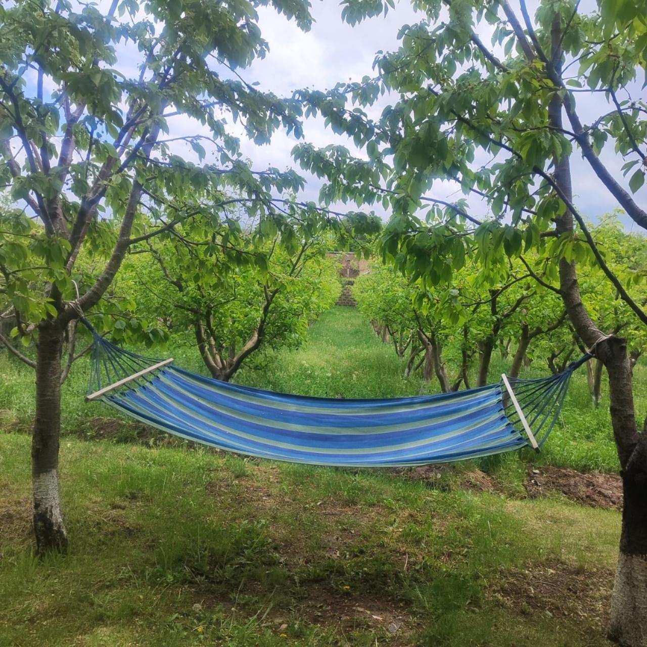 Lanj In Eco Garden/ Guest House Nurnus 외부 사진